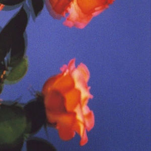 Meet your Posher, Alia